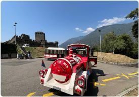 Castle-train