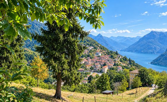 Discover Experience: Monte Brè
