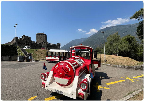 Castle-train